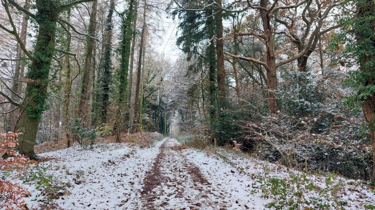 The Beehive - Self Catering In The Heart Of The Forest Of Dean Whitecroft Ngoại thất bức ảnh