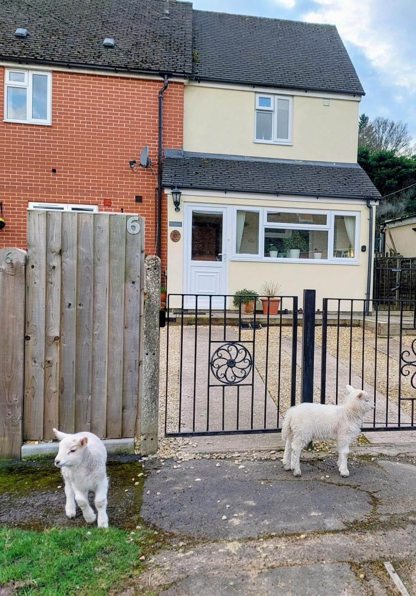 The Beehive - Self Catering In The Heart Of The Forest Of Dean Whitecroft Ngoại thất bức ảnh